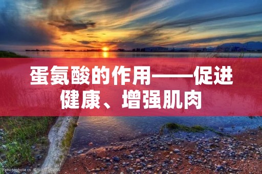 蛋氨酸的作用——促进健康、增强肌肉