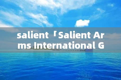 salient「Salient Arms International GRY」