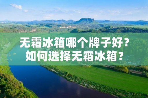 无霜冰箱哪个牌子好?如何选择无霜冰箱? 无霜冰箱哪个牌子好?如何选择无霜冰箱?