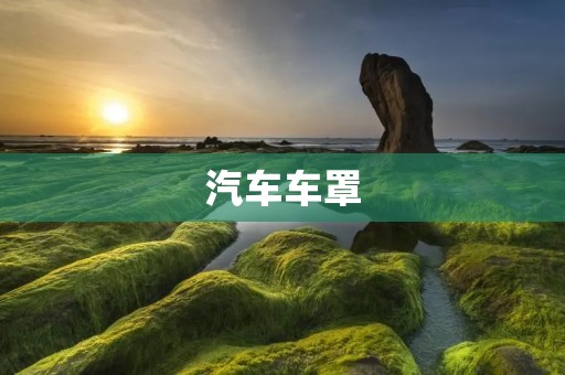 汽车车罩：保护你的爱车