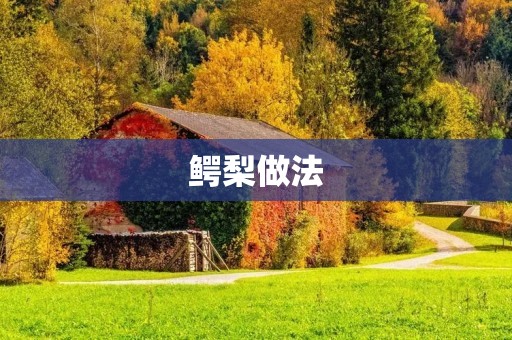 鳄梨做法:让你轻松掌握制作美味鳄梨的技巧 鳄梨做法:让你轻松掌握制作美味鳄梨的技巧