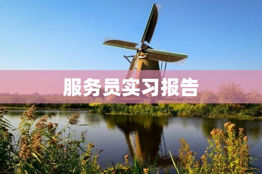 服务员实习报告