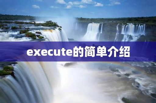 execute的简单介绍