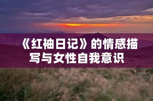 《红袖日记》的情感描写与女性自我意识