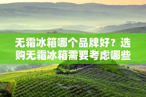 无霜冰箱哪个品牌好?选购无霜冰箱需要考虑哪些因素? 无霜冰箱哪个品牌好?选购无霜冰箱需要考虑哪些因素?