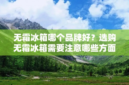 无霜冰箱哪个品牌好?选购无霜冰箱需要注意哪些方面? 无霜冰箱哪个品牌好?选购无霜冰箱需要注意哪些方面?