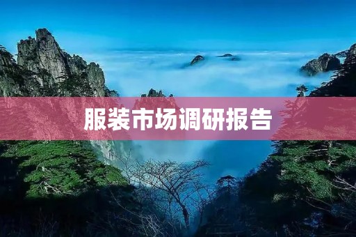 服装市场调研报告:探索中国服装市场的趋势与机遇