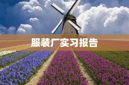 服装厂实习报告