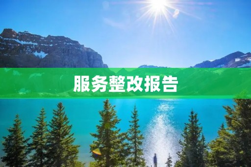 服务整改报告:提升服务质量,满足客户需求