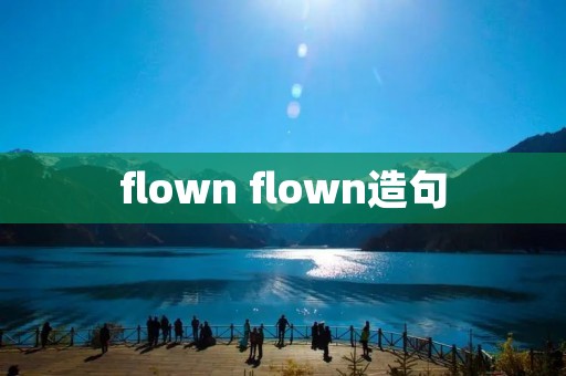 flown flown造句