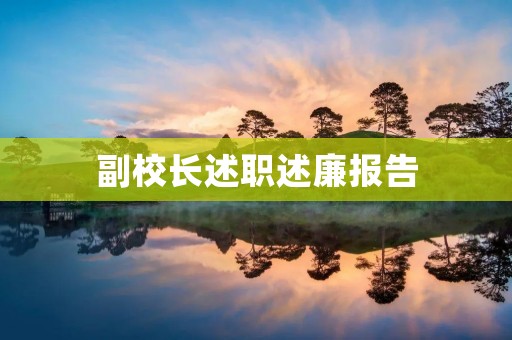 副校长述职述廉报告