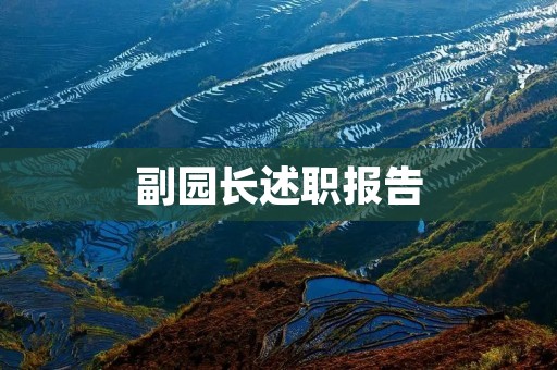 副园长述职报告:发现问题,解决问题
