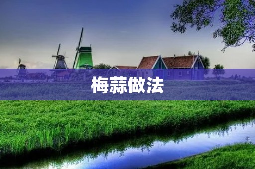 梅蒜做法：口感酸爽的美味自制酱料