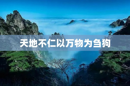 天地不仁以万物为刍狗：人类的自我反思