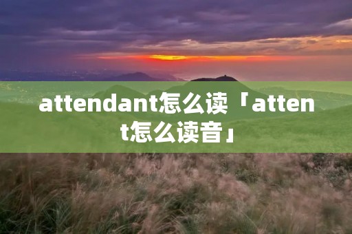 attendant怎么读「attent怎么读音」