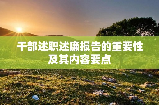 干部述职述廉报告的重要性及其内容要点