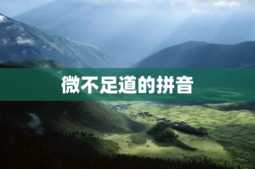 微不足道的拼音：小小字母背后的文化力量