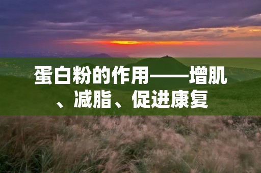 蛋白粉的作用——增肌、减脂、促进康复 蛋白粉的作用——增肌、减脂、促进康复