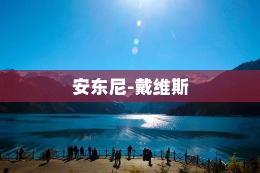 安东尼-戴维斯：湖人新一代的领袖