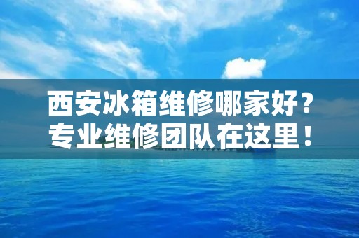 西安冰箱维修哪家好？专业维修团队在这里！