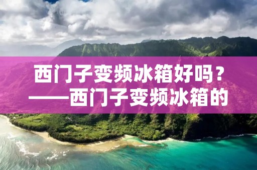 西门子变频冰箱好吗?——西门子变频冰箱的优点和缺点详细分析 西门子变频冰箱好吗?——西门子变频冰箱的优点和缺点详细分析