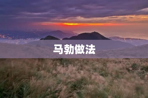 马勃做法:让你在家也能品尝到美味的野生菌 马勃做法:让你在家也能品尝到美味的野生菌