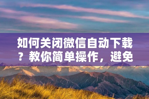 如何关闭微信自动下载?教你简单操作,避免不必要的流量浪费