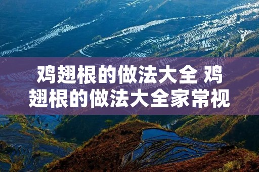 鸡翅根的做法大全 鸡翅根的做法大全家常视频