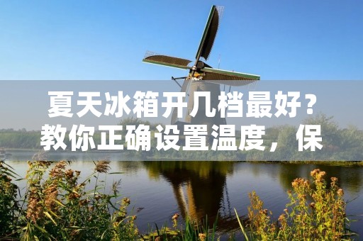 夏天冰箱开几档最好?教你正确设置温度,保证食品安全! 夏天冰箱开几档最好?教你正确设置温度,保证食品安全!