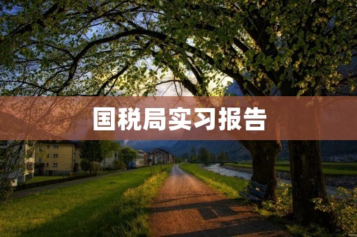 国税局实习报告:职场见闻与成长经历