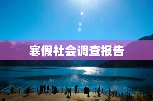 寒假社会调查报告:青少年的娱乐方式