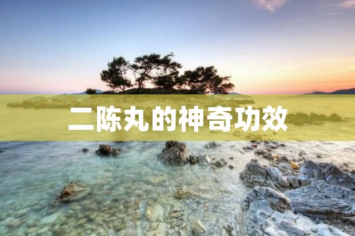 二陈丸的神奇功效:缓解胃痛、腹泻、便秘等症状 二陈丸的神奇功效:缓解胃痛、腹泻、便秘等症状