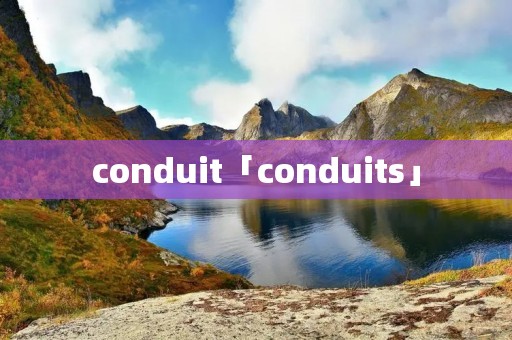 conduit「conduits」