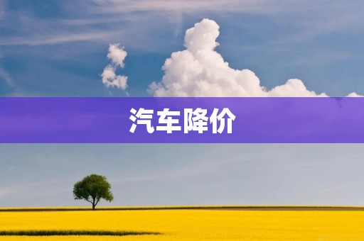 汽车降价:消费者的喜讯 汽车降价:消费者的喜讯