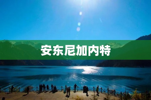 安东尼加内特:篮球史上的传奇 安东尼加内特:篮球史上的传奇