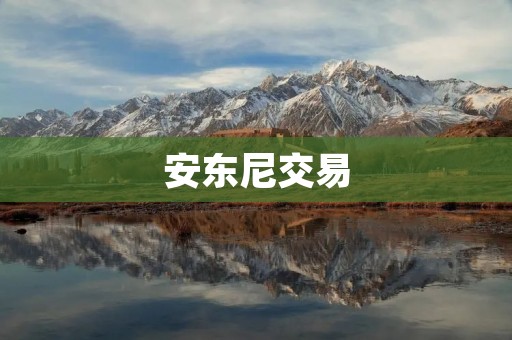 安东尼交易：火箭的风险和机遇