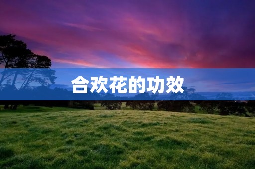 合欢花的功效:缓解焦虑、促进睡眠、调节内分泌 合欢花的功效:缓解焦虑、促进睡眠、调节内分泌