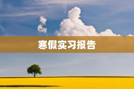 寒假实习报告:走进大公司