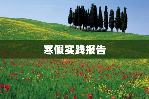 寒假实践报告:走进乡村,感受乡土气息