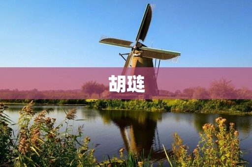 胡琏:清朝末年著名政治家 胡琏:清朝末年著名政治家