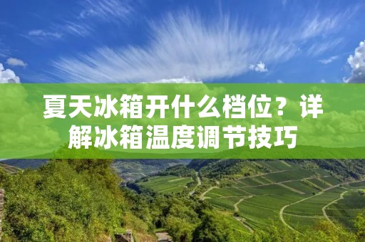 夏天冰箱开什么档位?详解冰箱温度调节技巧 夏天冰箱开什么档位?详解冰箱温度调节技巧