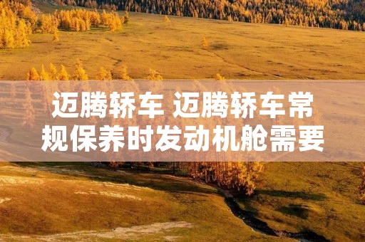 迈腾轿车 迈腾轿车常规保养时发动机舱需要检查的油液有 迈腾轿车 迈腾轿车常规保养时发动机舱需要检查的油液有
