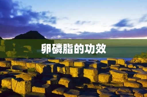 卵磷脂的功效:保护心脏,促进脑部健康 卵磷脂的功效:保护心脏,促进脑部健康