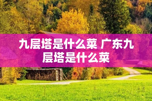 九层塔是什么菜 广东九层塔是什么菜