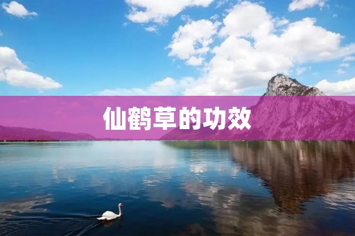 仙鹤草的功效:一种珍贵的中药材 仙鹤草的功效:一种珍贵的中药材