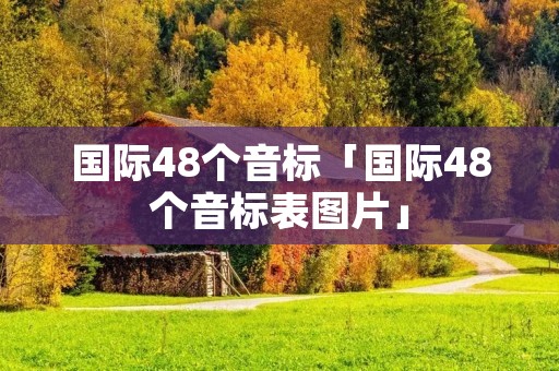 国际48个音标「国际48个音标表图片」