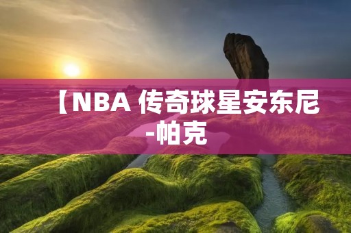 【NBA 传奇球星安东尼-帕克：领袖气质与创新智慧并存】