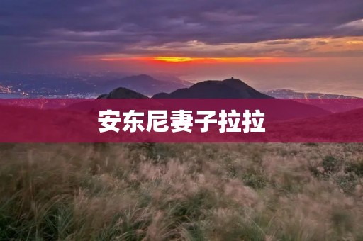 安东尼妻子拉拉:从职业生涯到家庭生活的转变 安东尼妻子拉拉:从职业生涯到家庭生活的转变