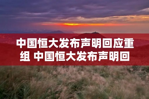 中国恒大发布声明回应重组 中国恒大发布声明回应重组 视频