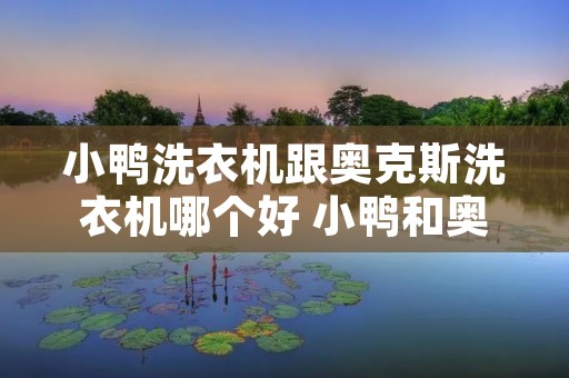 小鸭洗衣机跟奥克斯洗衣机哪个好 小鸭和奥克斯哪个好